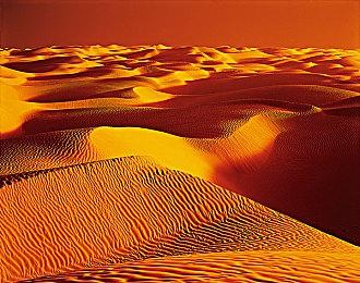 《勇敢的心：回家》2023年初登陆Netflix会员