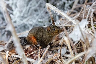 《不朽者传奇》| Unpacked”全新预告片
